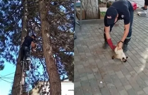 Interventie neobisnuita pentru salvatorii din stanga Nistrului. Au ...