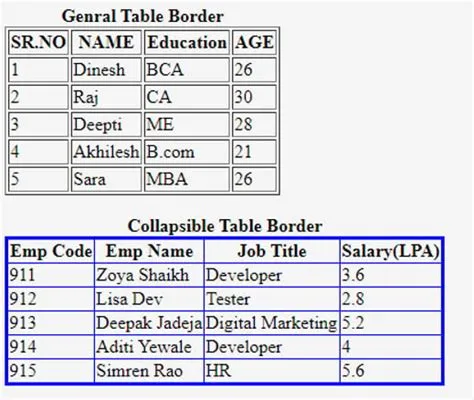 Table Border in HTML | 10 Ways for Defining Table Border with Examples
