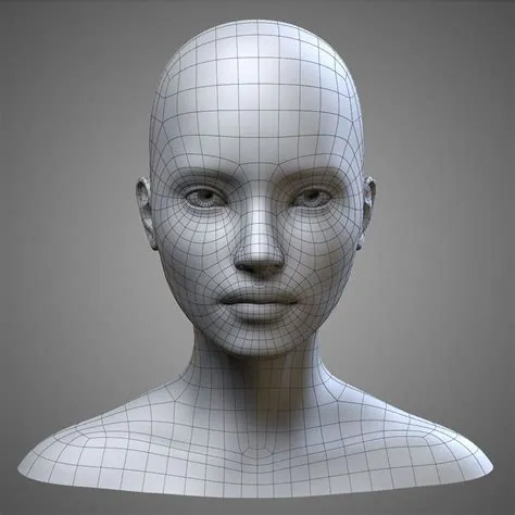 Face Reference 3D Model