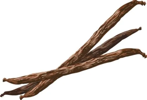 Vanilla Bean Clip Art