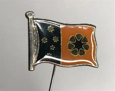 DARWIN NORTHERN TERRITORY 1980s Vintage Pin Badge $30.00 - PicClick AU