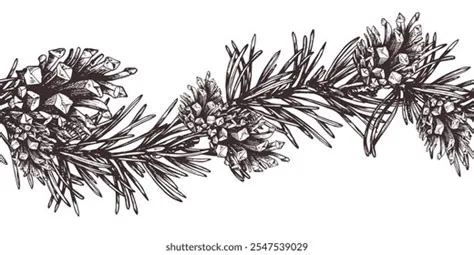 239,987 Branche De Pin Stock Vectors and Vector Art | Shutterstock