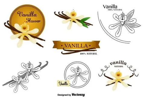 Vanilla Bean Vector Art, Icons, and Graphics for Free Download