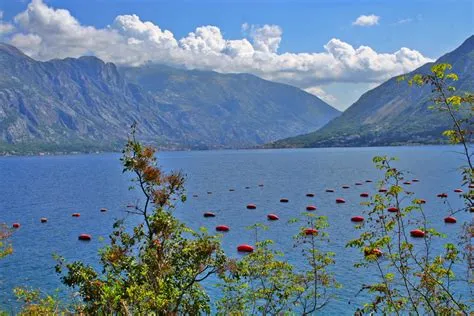 Welcome to Montenegro