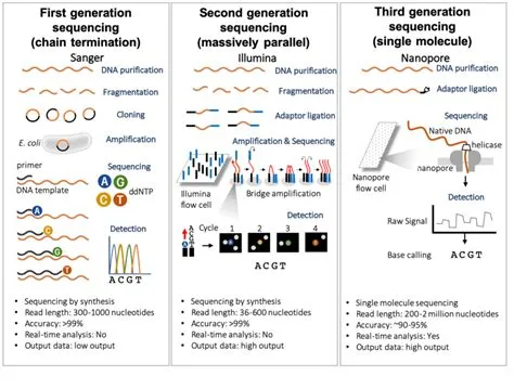 Schematic Representation of first, second and third generation ...