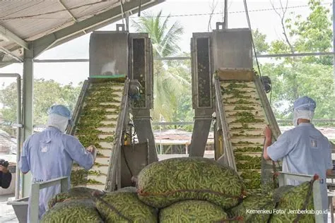 Body-Solid 150lb Weight Stack SP150 - Buy Online — Strength Warehouse USA