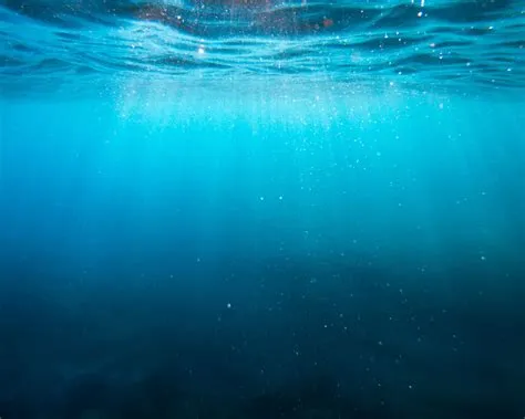 In Deep: A Trip to the Ocean Floor