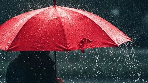 Cuaca Sulsel Senin, 21 Juli: Cerah Tapi Beberapa Wilayah Waspada Hujan ...