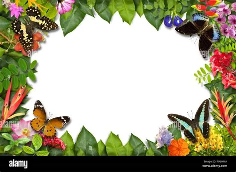 Nature border with flower and green leaf background Stock Photo - Alamy