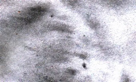 Premium Vector | Concrete texture black wallpaper rough background design