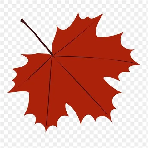 a red maple leaf is shown on a transparent background, hd png downloads
