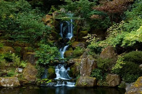 Immagini stati uniti Portland Oregon Natura cascata parchi Pietre
