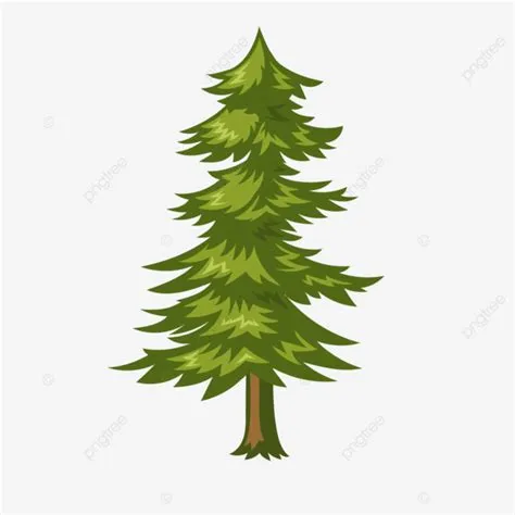 Pine Tree Vector Illustration, Pine Tree, Forest Tree, Evegreen PNG and ...