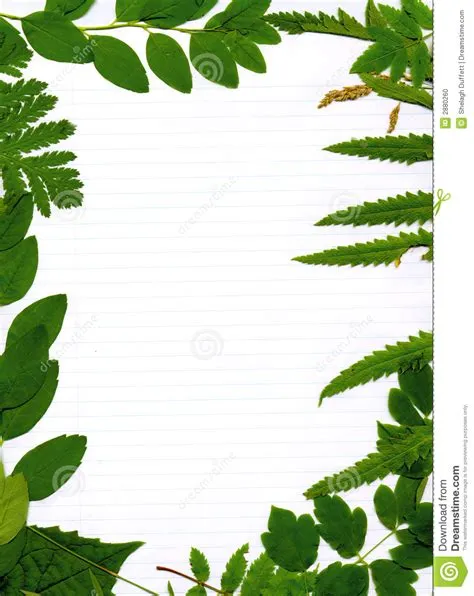 nature border design clipart - Clipground