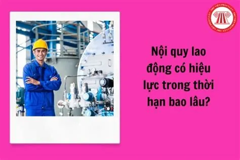 Mẫu Biên bản lấy ý kiến về nội dung Nội quy lao động mới nhất 2023?
