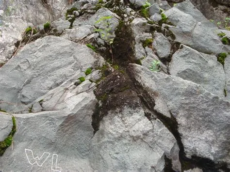 Jenis-jenis Pelapukan | Alam Sekitar Kita