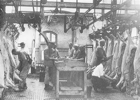 van Karin Soffir op yoji | Ambachtelijke activiteiten, Dieren, Het ...