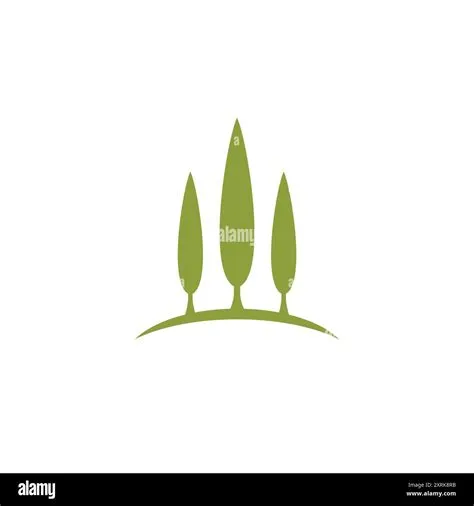 Pine Logo Vector. Pine Tree Icon Stock Vector Image & Art - Alamy