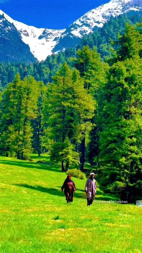 van Farhat Pashtun op Pins by you