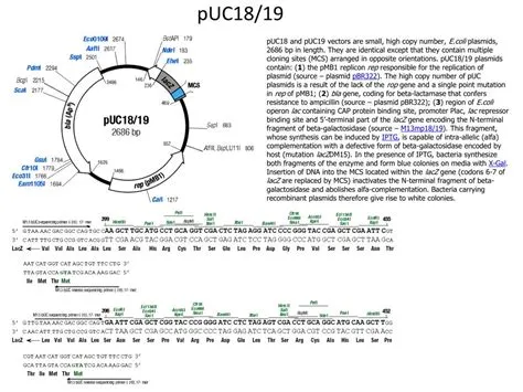 PPT - MCB 720: Molecular Biology PowerPoint Presentation, free download ...