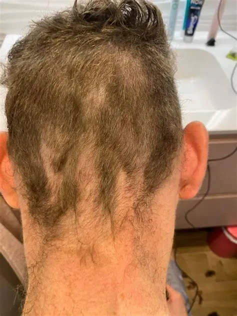 Morbihan. Plus belle coiffure moche : un concours au poil à Larré ...