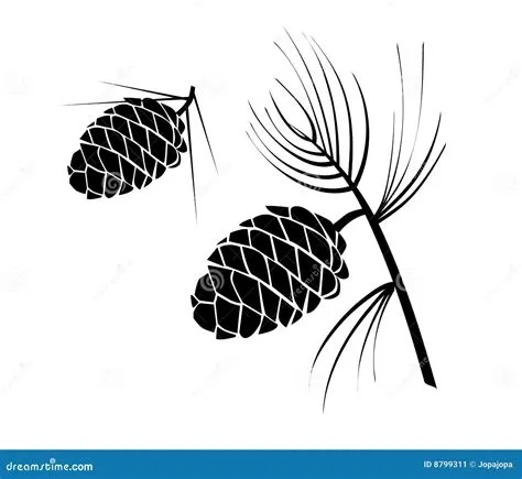 Pine cone stock vector. Illustration of cone, line, white - 8799311
