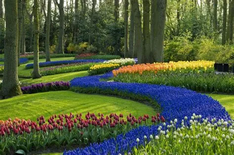 Zoom Background Images Backyard at Shirley Funk blog