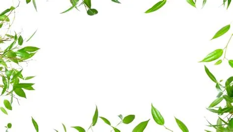 Nature Border Wallpapers - Wallpaper Cave