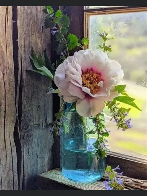 by Robin Peek on Pink & Pretty (Rosa in Swedish) | Flower painting ...