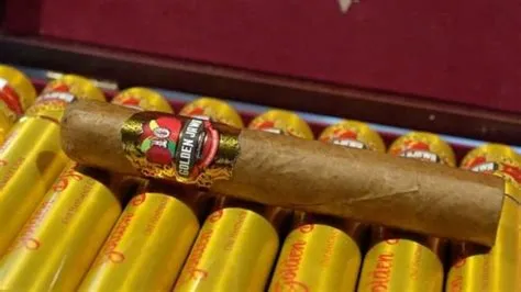 5 Rekomendasi Kuliner Oleh-oleh Khas Jember yang Wajib Dicoba Usai Libruan