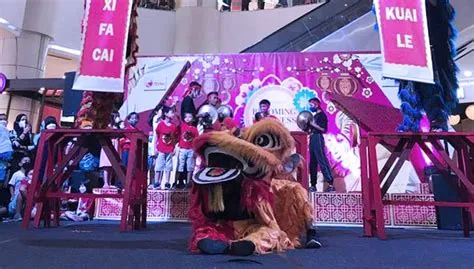 Pengunjung Lippo Plaza Jember Terpukau Lihat Barongsai Keliling Mall ...