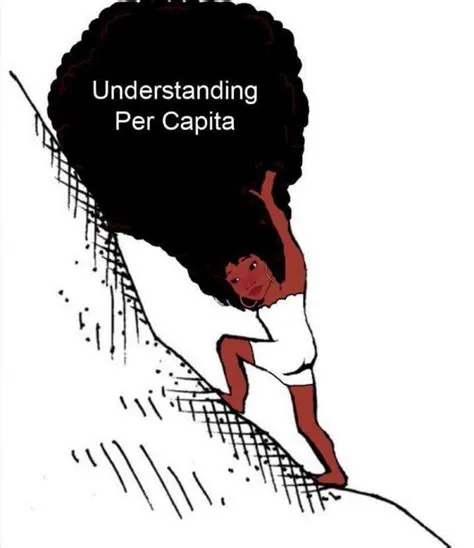 Understanding Per Capita | Understanding Per Capita | Know Your Meme