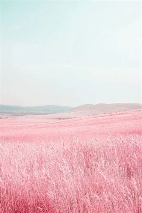 A surreal, pastel-hued landscape features a vast field of pink grass