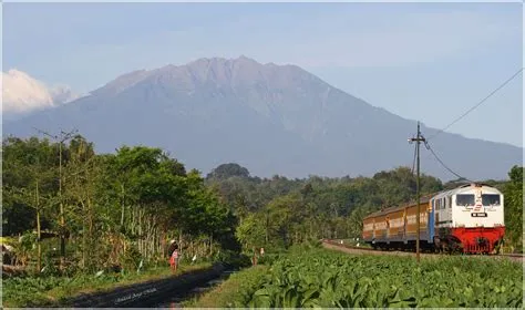 Elevation map of Jember Regency, East Java, Indonesia - MAPLOGS