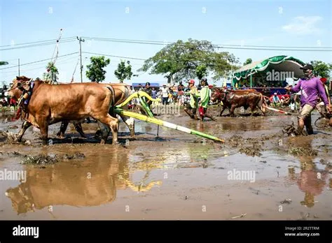 Probolinggo, Indonesia. 21st May, 2023. People prepare to attend ...