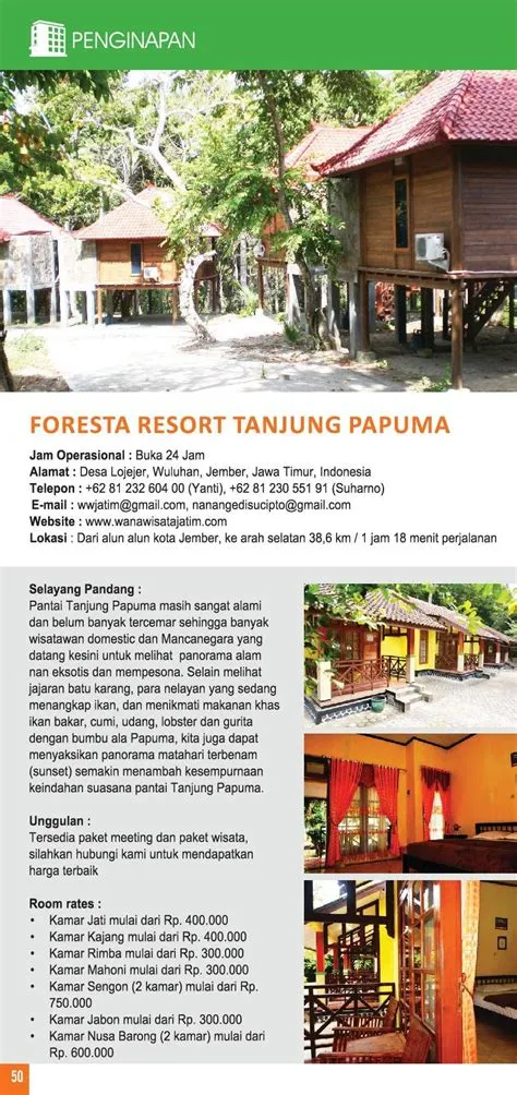 Penginapan | Destinasi Wisata Jember