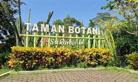 25 Tempat Wisata di Jember Terbaru & Terhits Dikunjungi