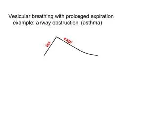 Nikmati Wisata Berkonsep Cafe dengan Satwa dan Flora di Pinggiran Kota ...
