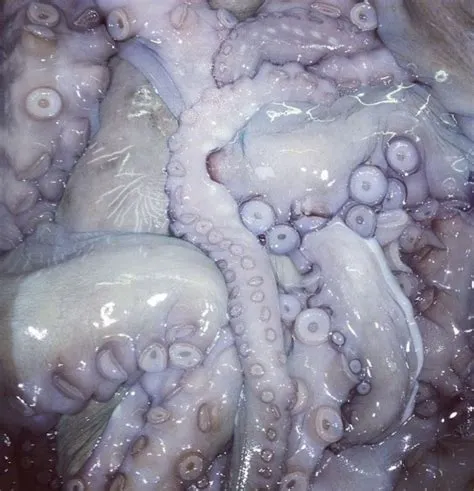 by Millie on nowhere | Character design, Art reference, Art inspiration