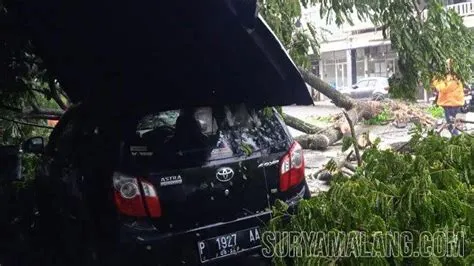 Santai Belanja, Ternyata Mobil Tertimpa Pohon Tumbang di Ruko Pandora ...