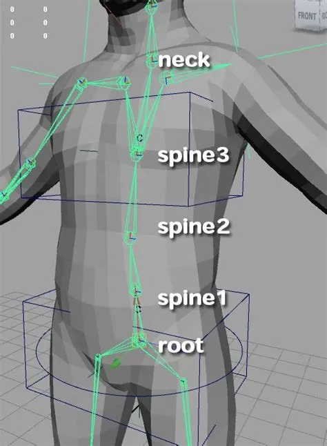 IK spine tutorial | Character rigging, Character modeling, Maya modeling