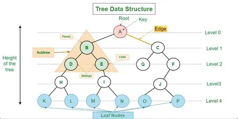Tree Traversal Techniques in Python - GeeksforGeeks