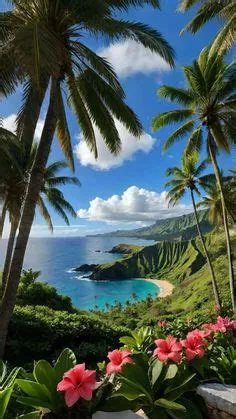 Tropical Palm Avenue Landscape Wall Art – Sunny Paradise Photography ...