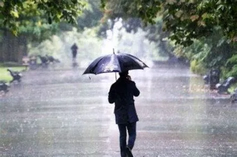 5 Alasan Mengapa Mimpi Hujan Deras Bisa Menjadi Pertanda Luar Biasa