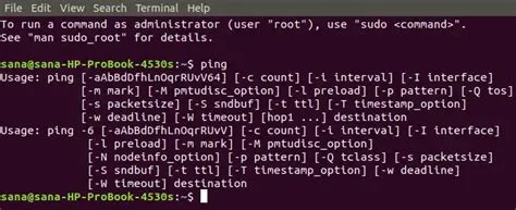The Linux Ping Command – VITUX