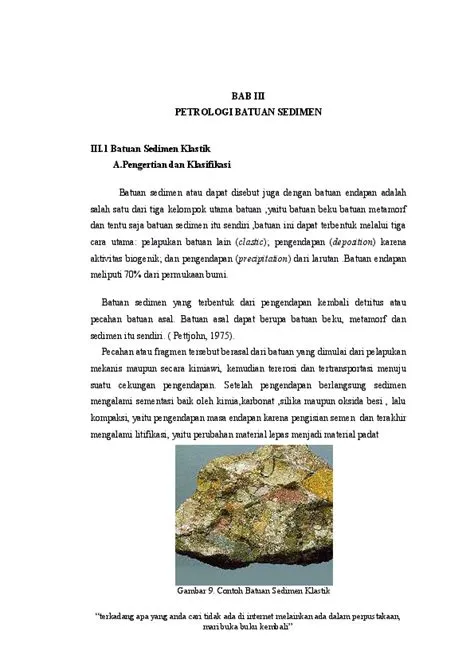 (DOC) Pengertian Batuan Sedimen