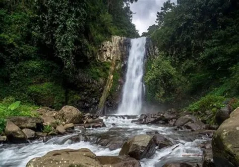 Pesona Air Terjun Antrokan di Jember: Destinasi Wisata Petualangan yang ...