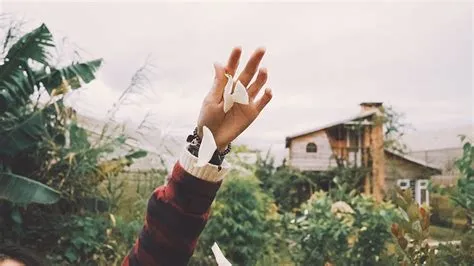 Spotlight #065: Nancy Lam | Subsign