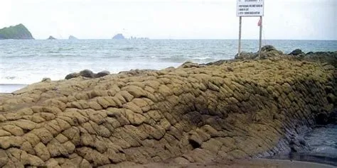 Pantai Watu Ulo Jember, Pantai Batu Bersisik Ular - awiracr