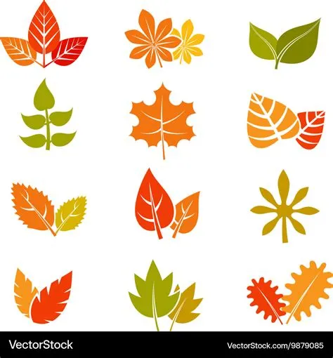 Multicolor autumn leaves flat icons fall Vector Image